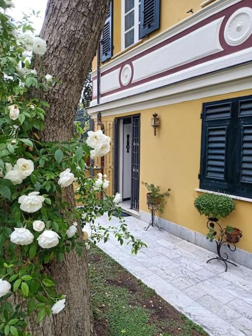Casetta Jacaranda Genoa Bagian luar foto